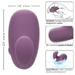 Mod Touch - Purple - Image 7