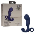 Viceroy Rechargeable Command Probe - Blue - Image 6