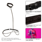 Euphoria Collection Chain Halter/collar and Leash - Black - Image 4