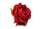 The Rose Lover's Gift Box Bloomgasm - Red - Image 7