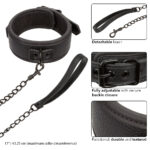 Nocturnal Collection Collar and Leash - Black - Image 5