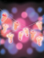 Glitterati Penis String Lights - 20 Lights - Image 3