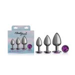 Purple Round Gem Anal Trainer Kit - Gunmetal - Image 10