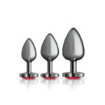 Red Heart Gem Anal Trainer Kit - Gunmetal - Image 8