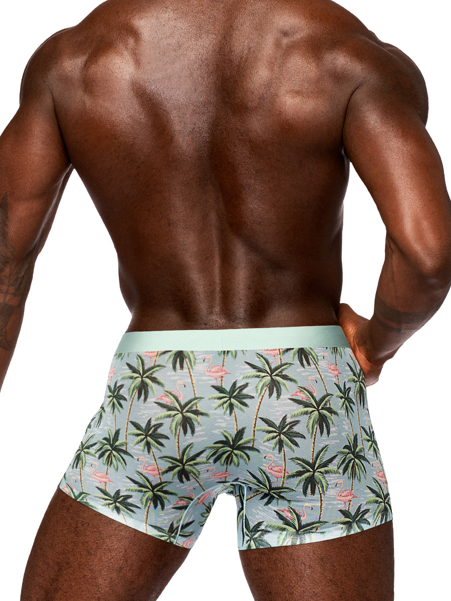 S6yv7jdeciX9UtwLE5r2LGDB8w4kyMC2 Sheer Prints - Seamless Sheer Short - Large - Flamingo - Image 1