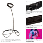 Euphoria Collection Plus Size Chain Halter/collar and Leash - Black - Image 4