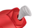 Bloomgasm Romping Rose Suction and Thrusting Vibrator - Red - Image 8