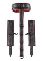 Saffron Neck and Wrist Restraint - Black/red - Image 2