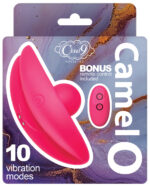 Cloud 9 Camel Toe Shaped Vibrator With Remote - Pink - Image 2