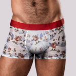 Christmas Trunks Seamless Sheer Short - Large