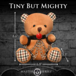Gagged Teddy Bear Plush - Image 6