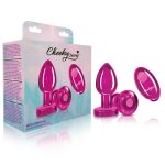 Vibrating Pink Metal Remote Plug - Medium - Image 9