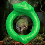 Serpentine Silicone Cock Ring - Green - Image 8