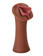 Extreme Wet Pussies - Luscious Lips - Brown - Image 3