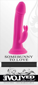 Somebunny to Love - Pink - Image 2