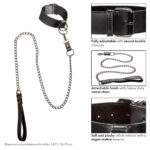 Euphoria Collection Collar With Chain Leash - Black - Image 9