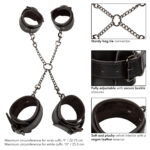 Euphoria Collection Hog Tie - Black - Image 8