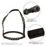 Euphoria Collection Plus Size Halter Buckle Harness - Black - Image 5