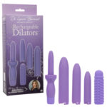 Dr. Laura Berman Rechargeable Dilators Set of 4 Locking Sizes Plus Sleeve - Purple - Image 3