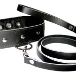 Leather Collar and Leash Set
