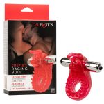 Couple's Raging Bull - Image 4