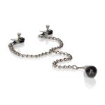 Weighted Nipple Clamps - Image 4