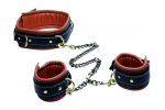 Coax Collar to Wrist Restraints - Image 2