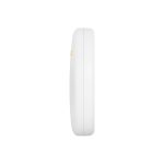 Creamsicle - Image 5