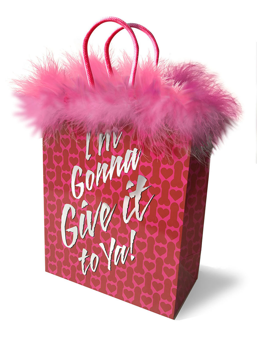 2tiaYYAMbBSX1f17T6crwnLVqgY18DFh i'm Gonna Give It to Ya! Gift Bag - Image 1