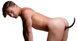 Xl Silicone Puppy Tail Butt Plug - Image 3