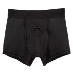 Her Royal Harness Boxer Brief - L/xl - Image 5