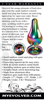 Rainbow Metal Plug - Small - Image 2
