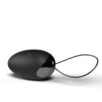 Premium Remote Egg - Image 3