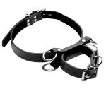 Frog-Tie Restraints - Image 3
