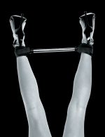 Fetish Fantasy Series Limited Edition Spreader Bar - Image 2