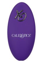 Lock-N-Play Remote Suction Panty Teaser - Purple - Image 12