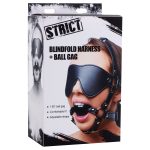 Blindfold Harness and Ball Gag