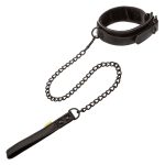 Boundless Collar & Leash - Image 3