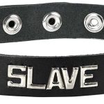 Sm Collar - Slave