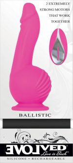 Ballistic - Image 2