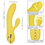 California Dreaming San Diego Seduction - Yellow - Image 10