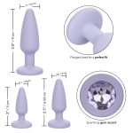 First Time Crystal Booty Kit - Purple - Image 8