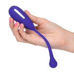 Impulse Intimate E-Stimulator Remote Kegel Exerciser - Image 3
