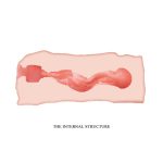 Crazy Bull Masturbator Sleeve - Jane - Image 6