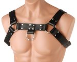 English Bull Dog Harness - Image 2