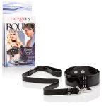 Diamond Leash and Collar Set - Image 2