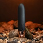 The Gold Standard - Black - Image 8