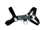 English Bull Dog Harness - Image 3