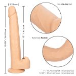Size Queen 12 inch/30.5 Cm - Ivory - Image 8