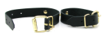 Spartacus Kink Kit - Image 6